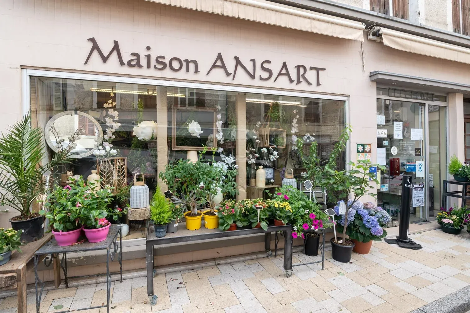 Devanture extérieure de la boutique Maison Ansart avec exposition de plantes et fleurs.